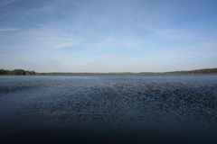 Killikus® Fotographie